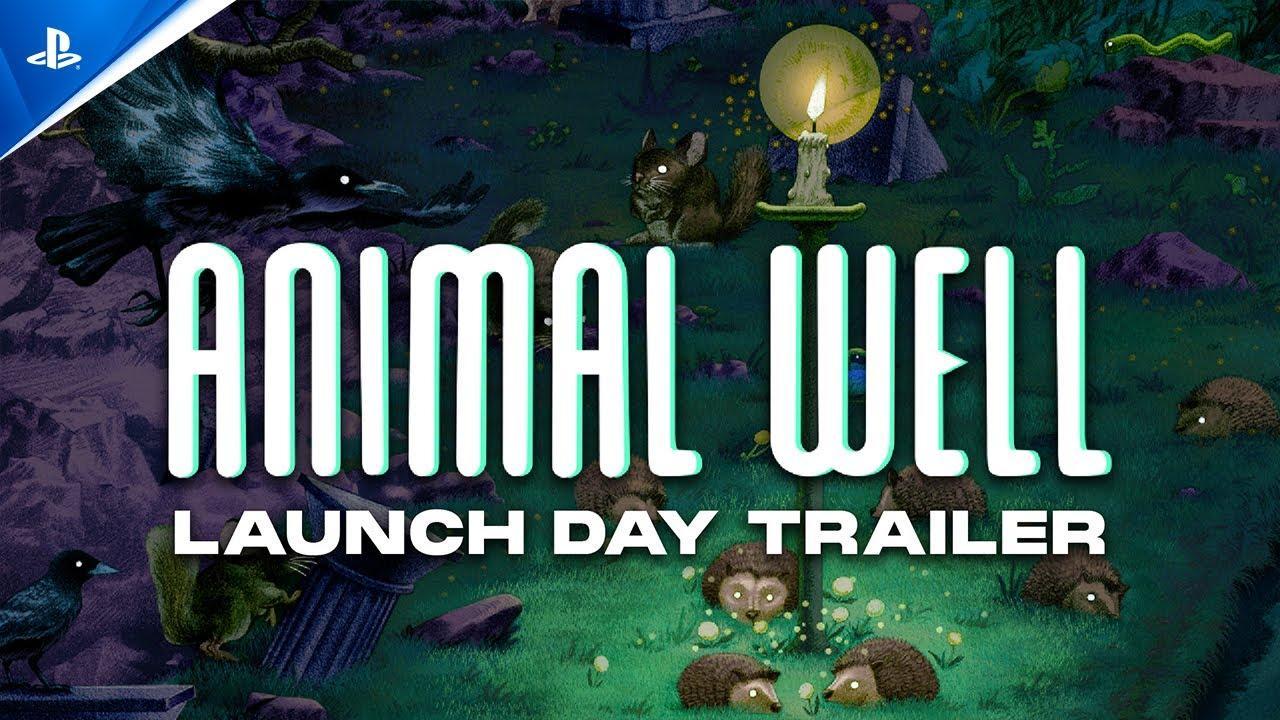 Animal Well